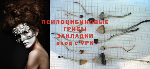 a pvp Алексин