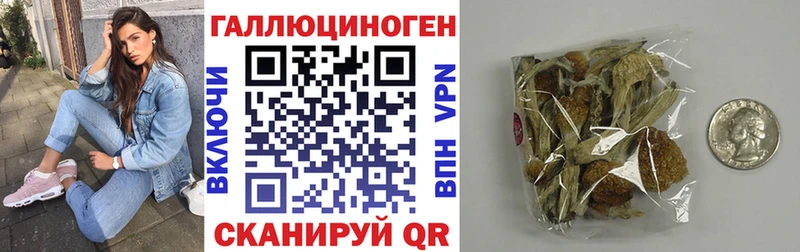Галлюциногенные грибы GOLDEN TEACHER  Сургут 