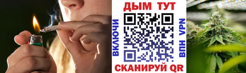 Каннабис ГИДРОПОН  Сургут 